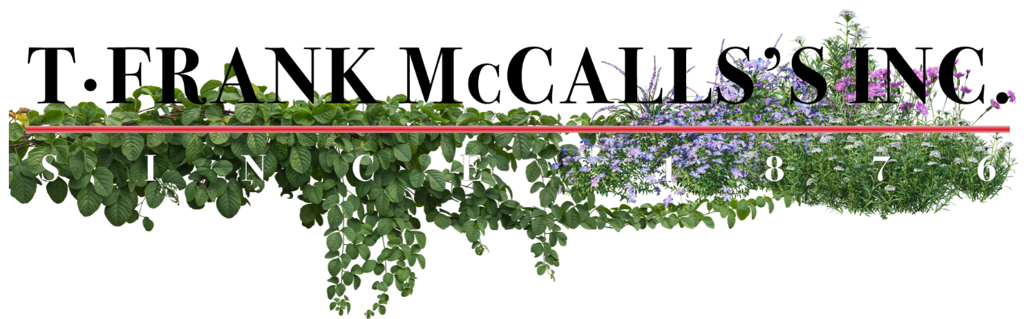 T Frank McCall's logo with flowers and greenery surrounding the words.